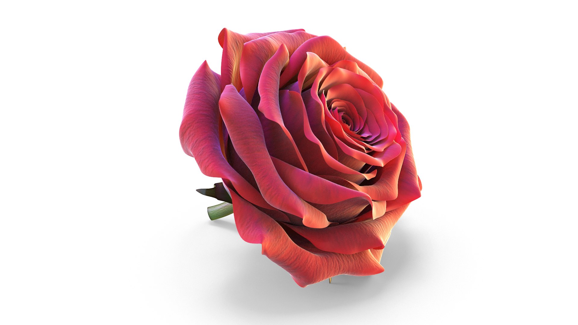 Realistic Rose 3D Model - High-Quality 4K PBR Asset 3D model https://p.turbosquid.com/ts-thumb/jL/7vwdfJ/md/2/jpg/1790076441/1920x1080/fit_q87/3d6be93ccf783d83a1a73453ecc0864b53492e76/2.jpg