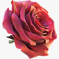Realistic Rose 3D Model - High-Quality 4K PBR Asset