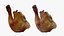 Collezione di pollo arrosto