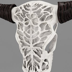 Wall decor Bull Skull with bone carving