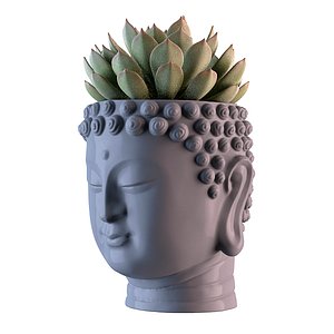 Head Buddha Vase
