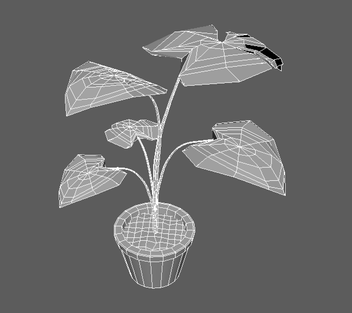 monstera plant pot ma free https://p.turbosquid.com/ts-thumb/jL/T6J8tX/oaN6J8Wp/screenshot20161123at7.02.02am/png/1479913396/1920x1080/fit_q87/02723241378a3e53fff0c7a74d3eb111ce94d521/screenshot20161123at7.02.02am.jpg