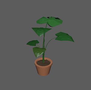 monstera plant pot ma free