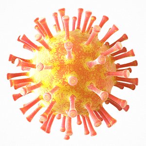 modeled coronavirus covid 19 model