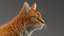 3D model cat mackerel tabby
