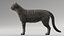 3D model cat mackerel tabby