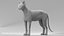 3D model cat mackerel tabby