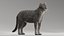 3D model cat mackerel tabby
