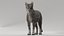 3D model cat mackerel tabby