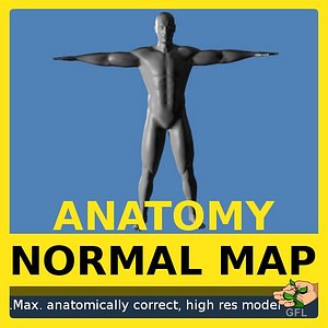 free 3ds model sculpted male