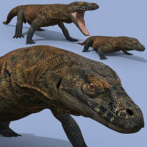 Ultimate Komodo Dragon - 8K 3D Animated Model 3D