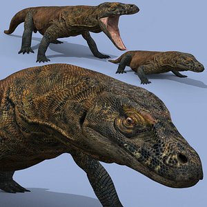 Ultimate Komodo Dragon - 8K 3D Animated Model