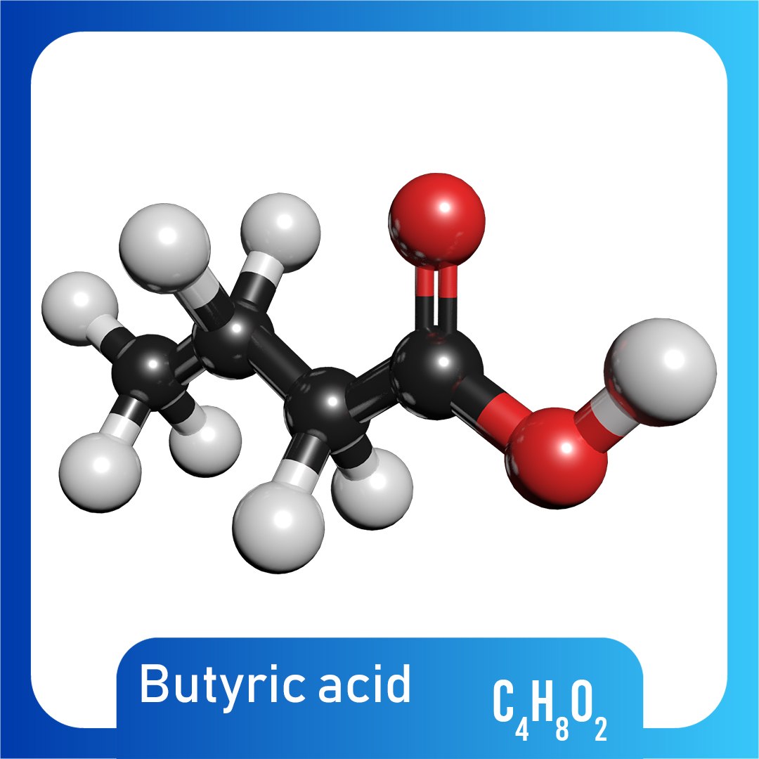 3d C4h8o2 Butyric Acid Model Turbosquid 1423470 