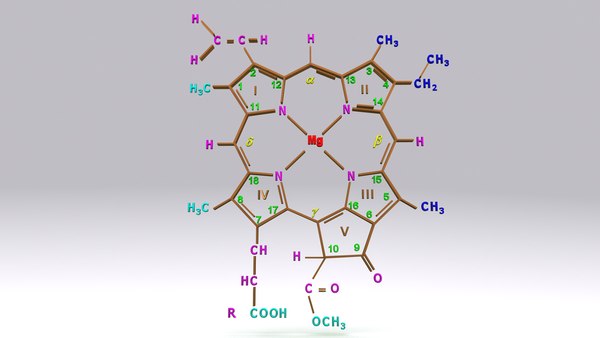 chlorophyll c structure 3d obj