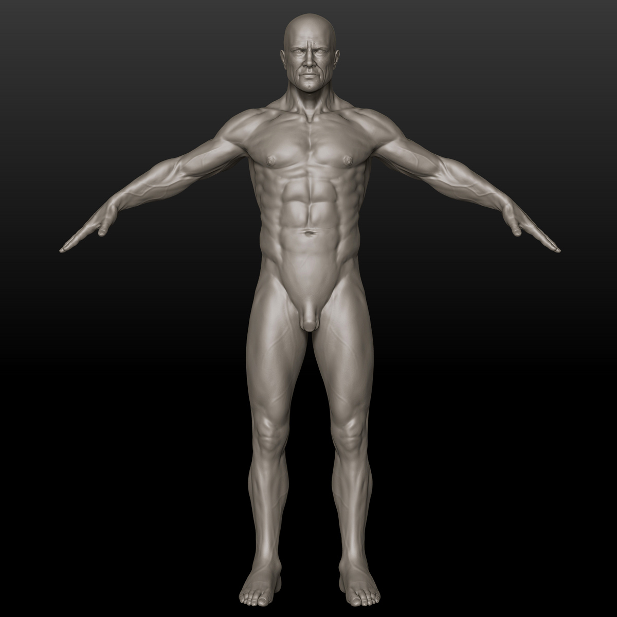 3d human male man model