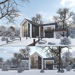 Winter House Exterior and Interior 3D