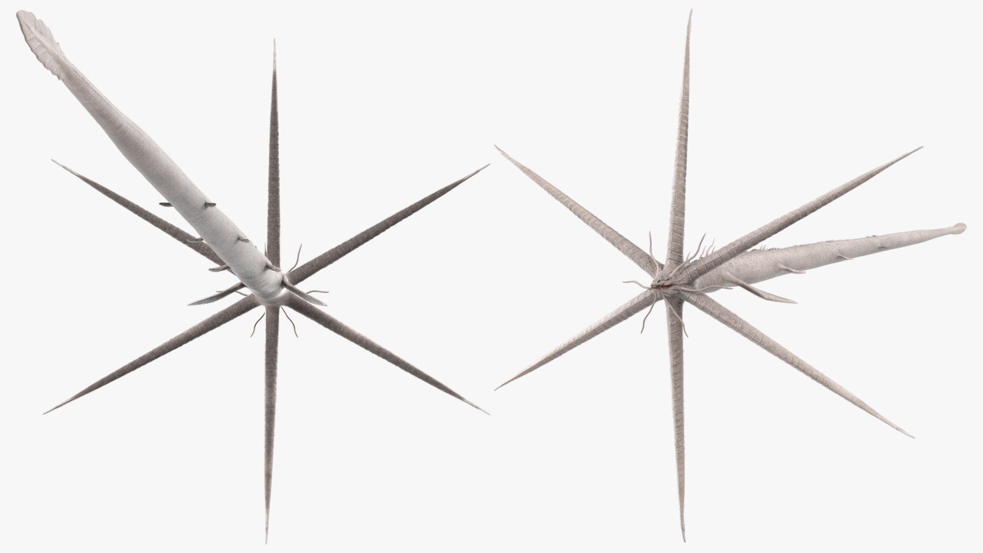 Deep Sea Monster with Radial Limbs White Rigged 3D model https://p.turbosquid.com/ts-thumb/jM/7D8tUv/iY/deep_sea_monster_with_radial_limbs_white_rigged_004/jpg/1759129965/1920x1080/fit_q87/8f70c07ac02be2b0e559c84a583ac730adc92924/deep_sea_monster_with_radial_limbs_white_rigged_004.jpg