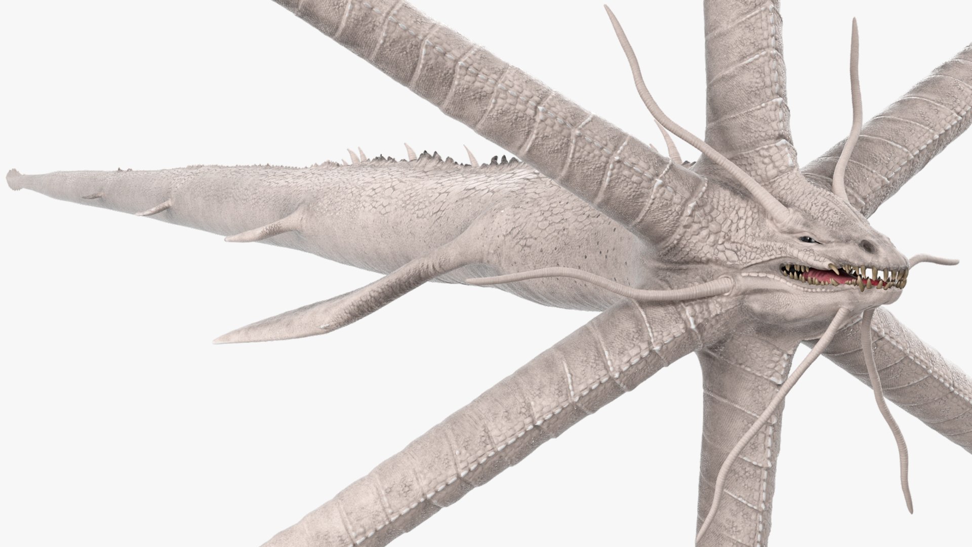 Deep Sea Monster with Radial Limbs White Rigged 3D model https://p.turbosquid.com/ts-thumb/jM/7D8tUv/oF/deep_sea_monster_with_radial_limbs_white_rigged_007/jpg/1759129976/1920x1080/fit_q87/b93912fa5cc16273a5c633305d4463dfdcc28266/deep_sea_monster_with_radial_limbs_white_rigged_007.jpg