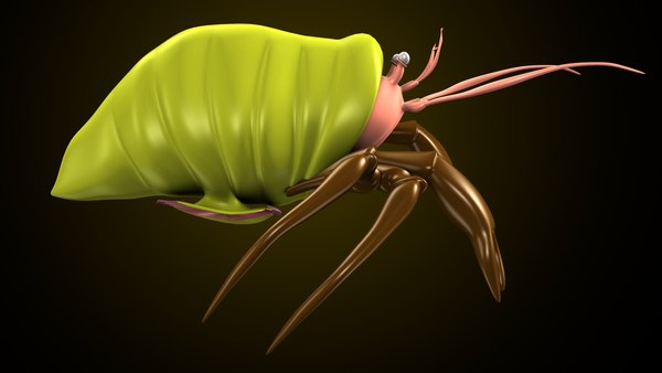 3D модель Адамсия паллиата анатомия - TurboSquid 1845797