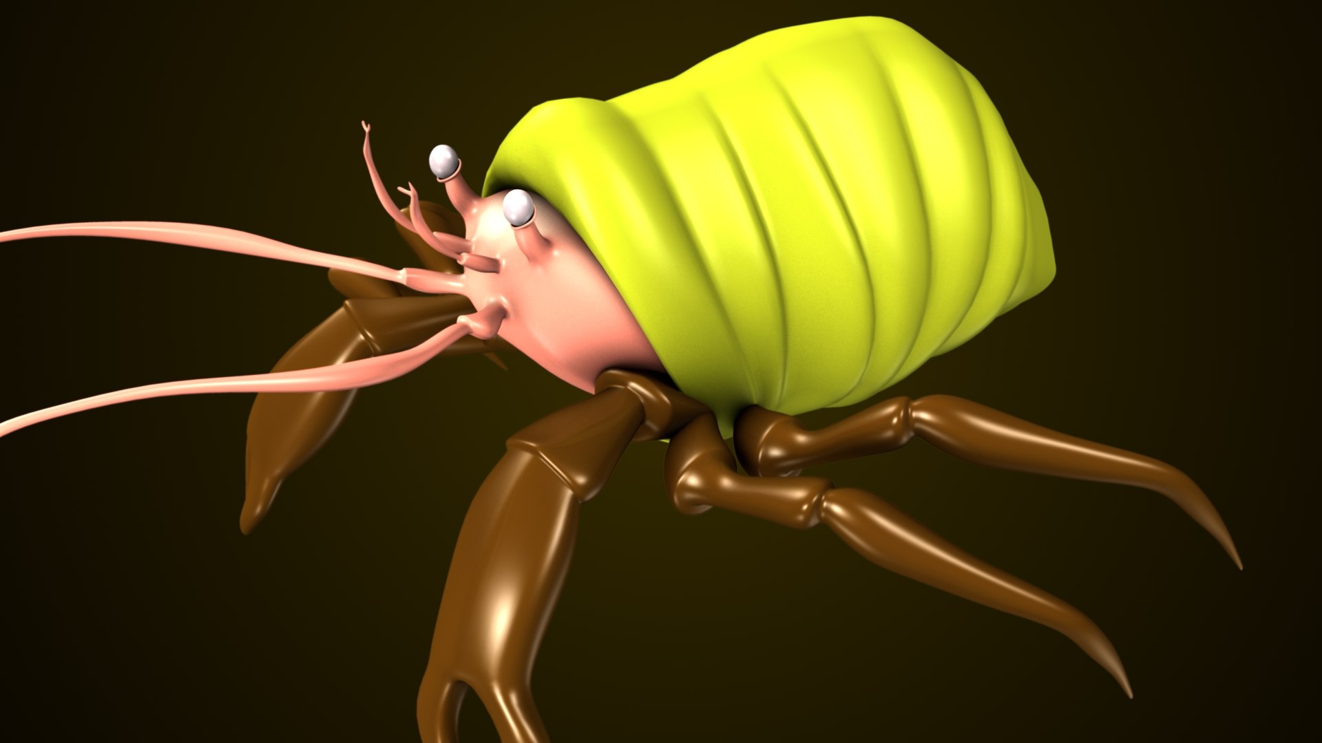 Adamsia Palliata Anatomy 3D Model - TurboSquid 1845797