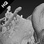 splash realflow