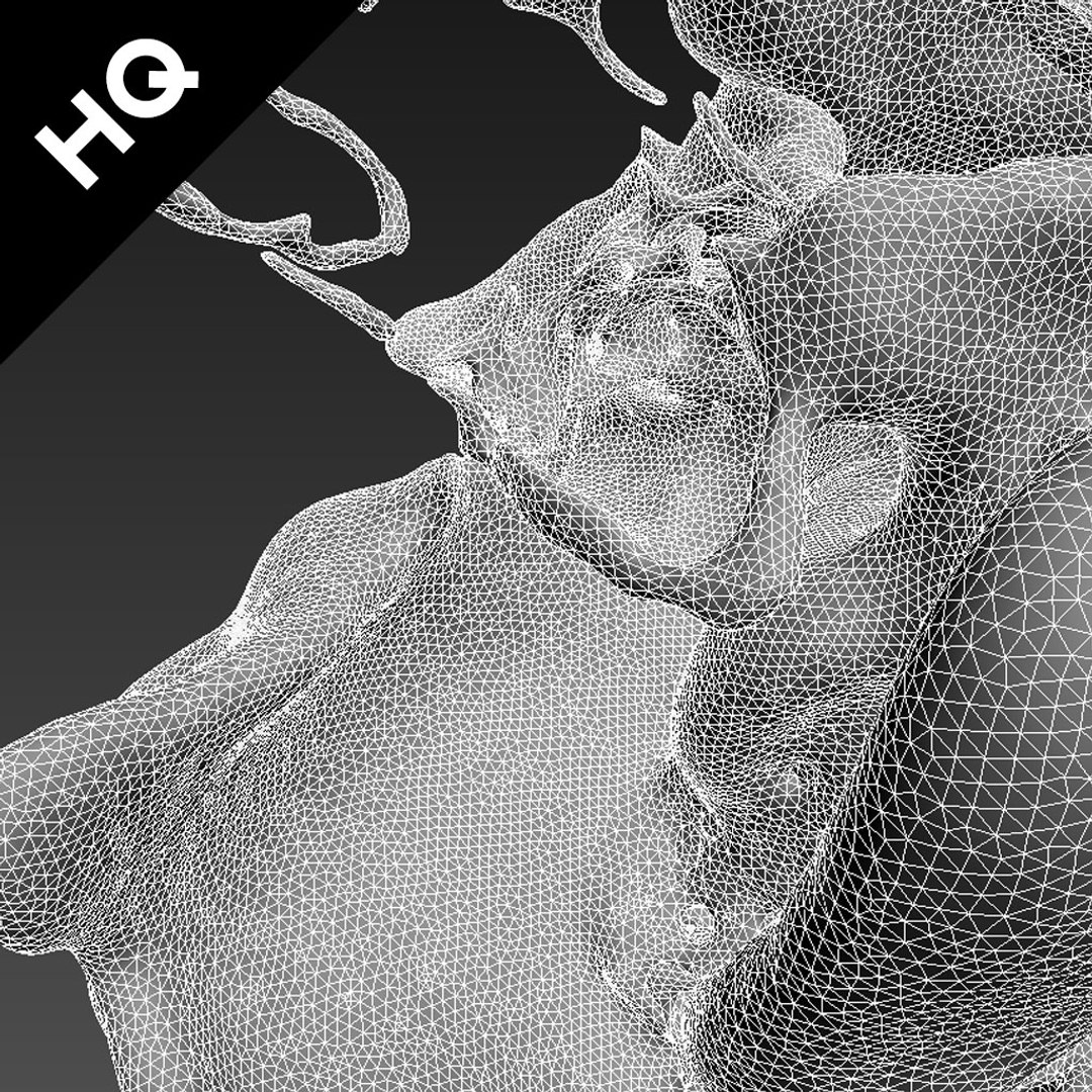 3d splash realflow flow https://p.turbosquid.com/ts-thumb/jM/AzipKP/XaYos3WL/splash_c_render_wire_f/jpg/1430924733/1920x1080/fit_q87/48bd141af85d39ea12ae6b0dd7269ab82575d570/splash_c_render_wire_f.jpg