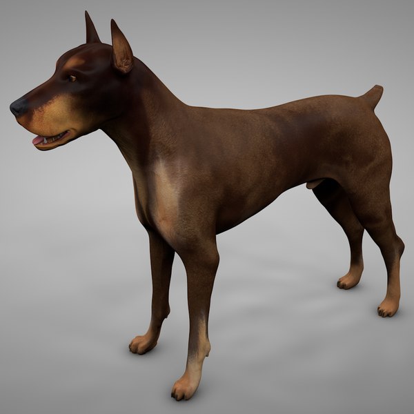 3D model doberman rigged l621