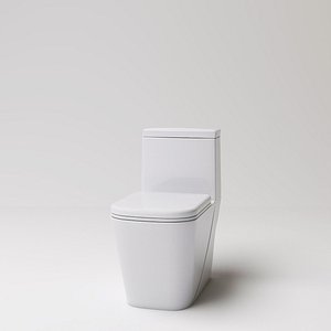 3D toilet wc