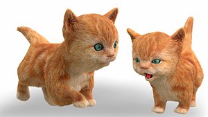 Fur Cute Cat kitten yellow animated