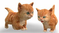 Fur Cute Cat kitten yellow animated