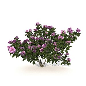 3D tree plants