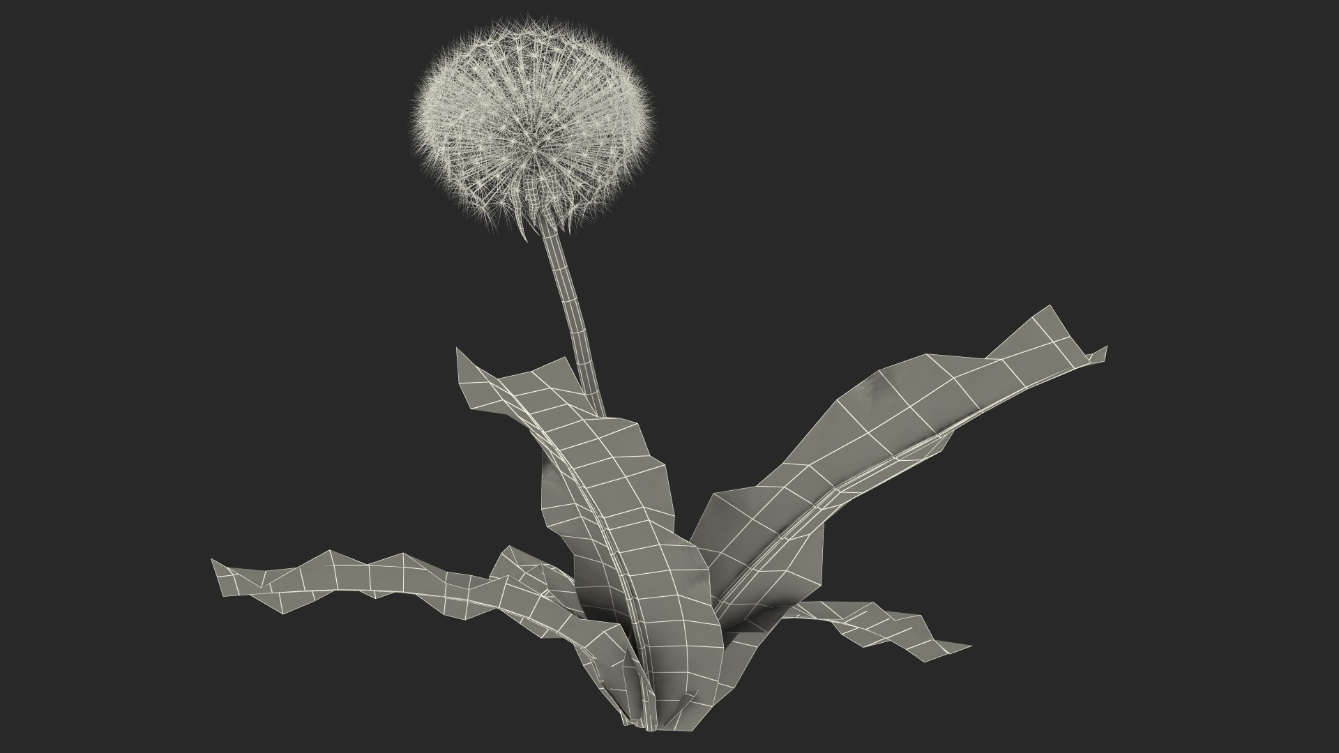 3D ripe dandelion plant https://p.turbosquid.com/ts-thumb/jM/u5hq1Y/BXCazjWt/ripedandelionplantvray3dmodel021/jpg/1588794843/1920x1080/fit_q87/30a90d92098a729dae84230391bde472224c898b/ripedandelionplantvray3dmodel021.jpg