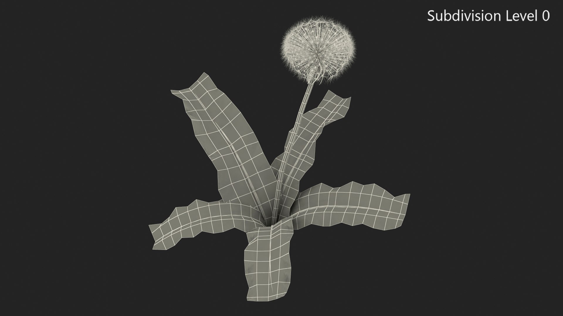 3D ripe dandelion plant https://p.turbosquid.com/ts-thumb/jM/u5hq1Y/fk9kQOBG/ripedandelionplantvray3dmodel011/jpg/1588794744/1920x1080/fit_q87/fbce9d623d1c3792d2dc72b551273f10a7407c94/ripedandelionplantvray3dmodel011.jpg