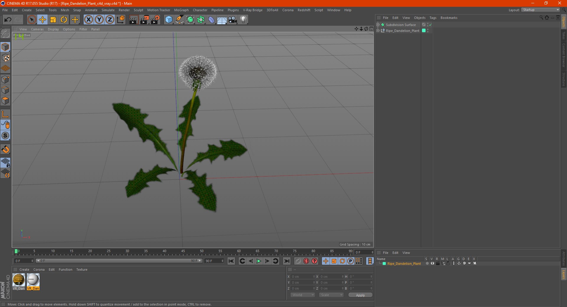 3D ripe dandelion plant https://p.turbosquid.com/ts-thumb/jM/u5hq1Y/nWWVNoyS/ripedandelionplantvray3dmodel016/jpg/1588794796/1920x1080/fit_q87/fa7ec86037c84ffa9aba707b1f39753c7cc59d5e/ripedandelionplantvray3dmodel016.jpg