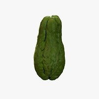 Anydrafts Sechium edule 02