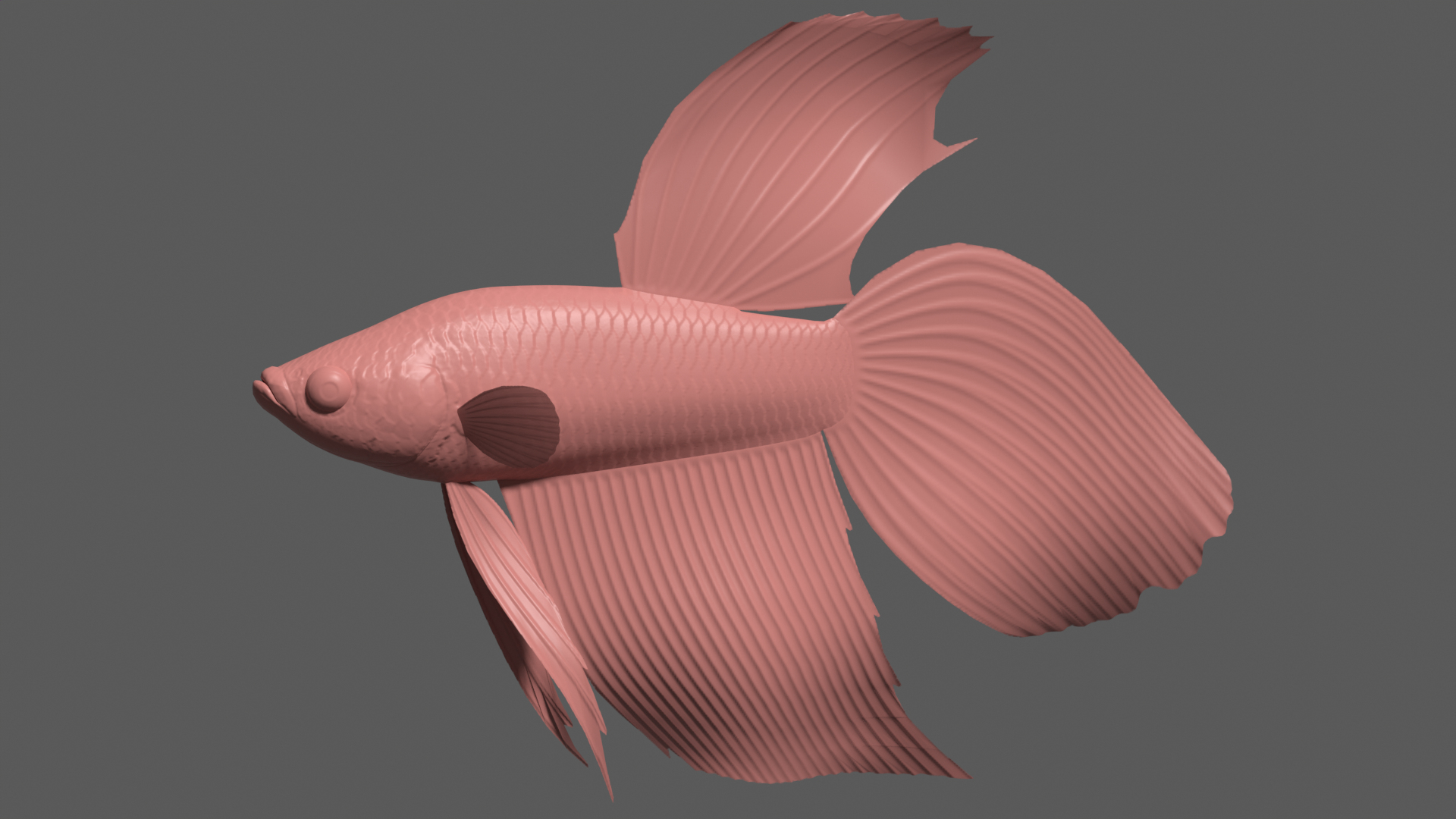 3d red betta model
