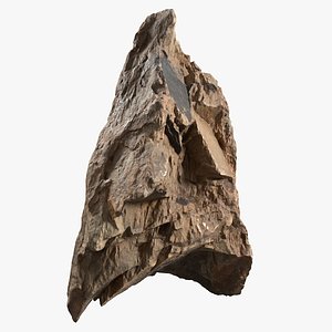 3D Essential 3D Scanned Rock 20