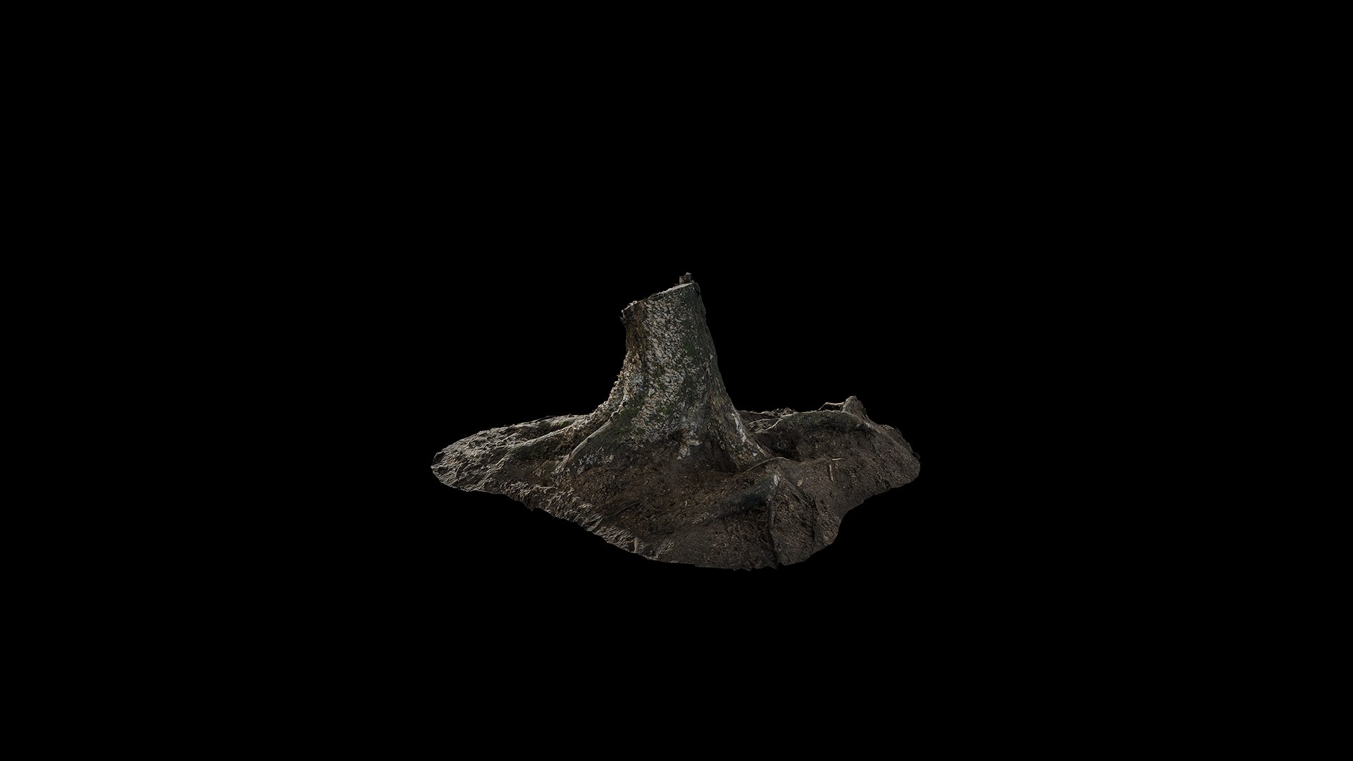 Anydrafts Stump 13 3D Model - TurboSquid 2321949