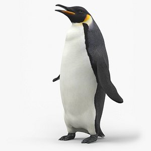 3D Large Penguin Bird Black White Rigged for Cinema 4D