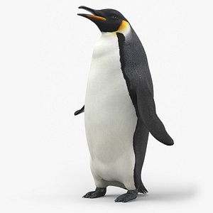 Large Penguin Bird Black White Rigged for Cinema 4D