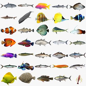 3D saltwater fish 2 model - TurboSquid 1510777