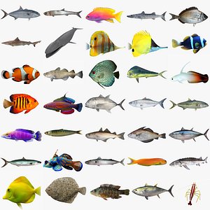Fish Megapack