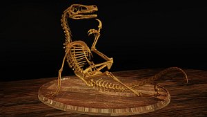 3D Velociraptor Skeleton Meme Diorama Philosoraptor model