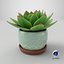 3D Home Plant
