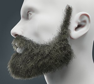 Beard RealTime 17 Version 2 3D