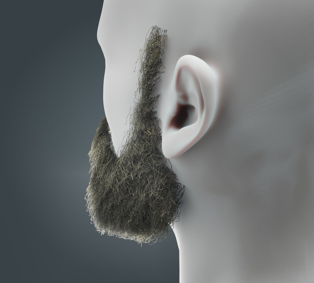 Beard RealTime 17 Version 2 3D - TurboSquid 1892390