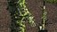 Francotirador en Leaf Ghillie Suit T-pose