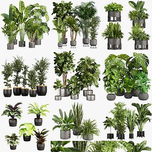 Ultimate Plant Collection &ndash; 42 High-Quality 3D Plant Models 3D