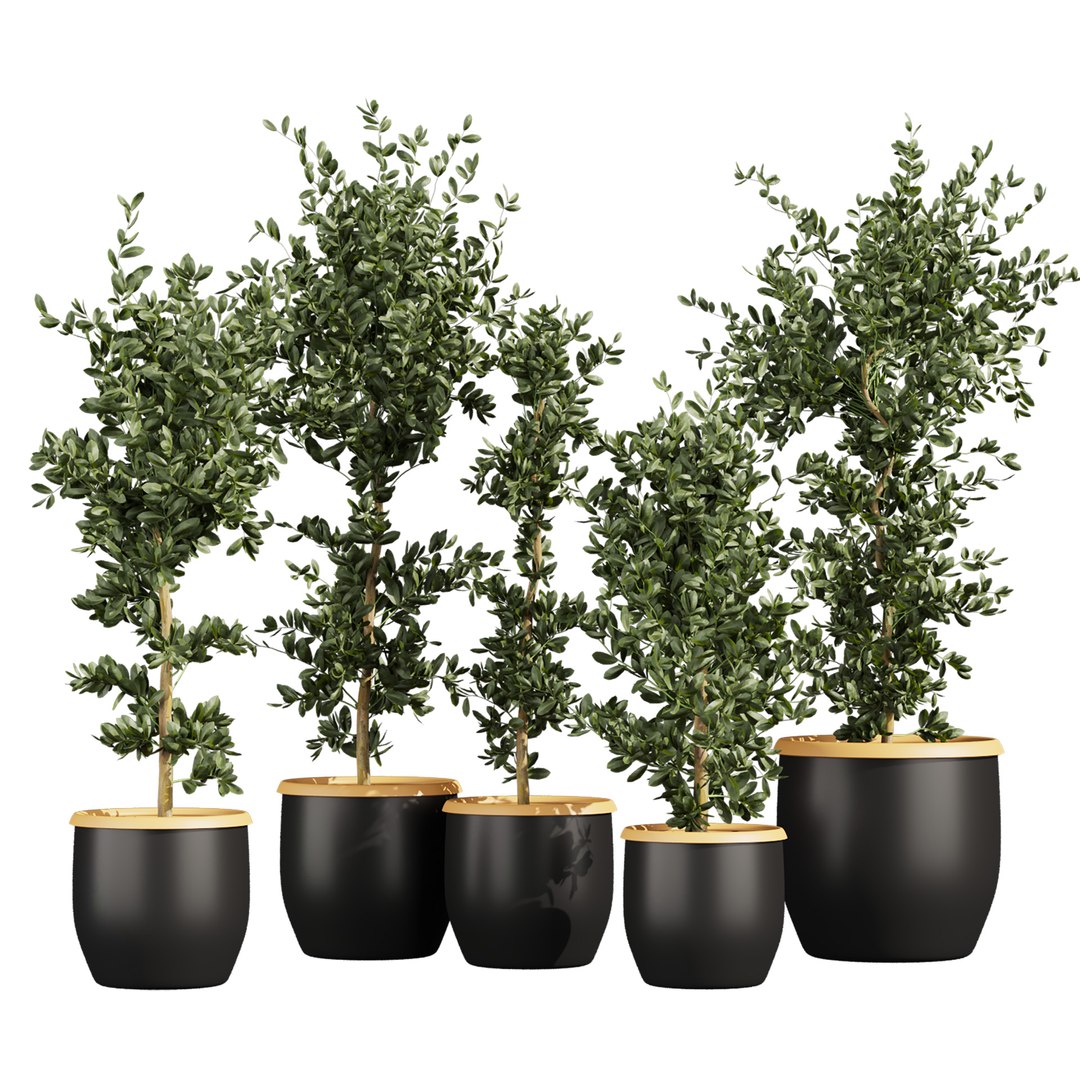 Ultimate Plant Collection – 42 High-Quality 3D Plant Models 3D https://p.turbosquid.com/ts-thumb/jN/kcAURB/PD/666/jpg/1769531363/1920x1080/fit_q87/e19de0b82d92d57332ede26bb6463e8d6c764e7c/666.jpg