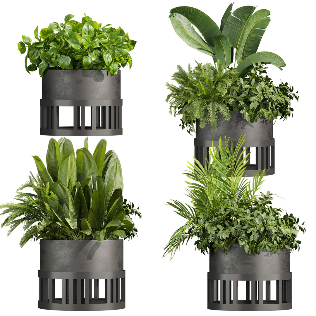 Ultimate Plant Collection – 42 High-Quality 3D Plant Models 3D https://p.turbosquid.com/ts-thumb/jN/kcAURB/vl/751/jpg/1769531366/1920x1080/fit_q87/7e6e4c27955195506cc21fe45a21287b8c4bb9d0/751.jpg